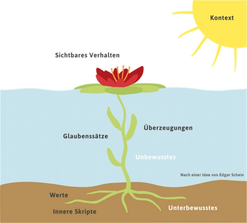 Seerose - Bernd Oetereich